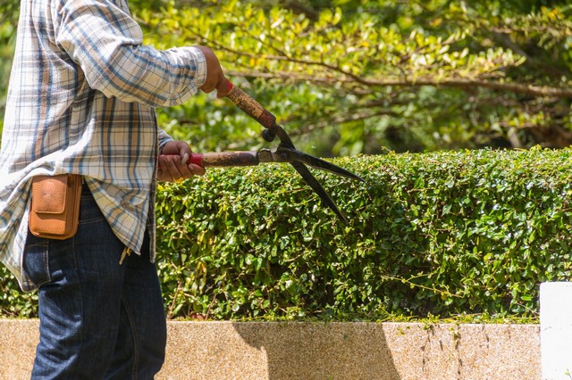 Garden Maintenance Nine Elms, SW8